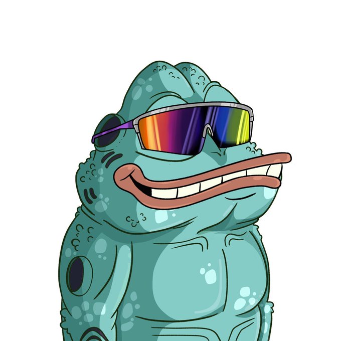 A cartoon frog with rainbow-shifted sunglasses smirks confidently, fitting the playful, meme-inspired branding of the "somethingridiculous.sol" Solana token.