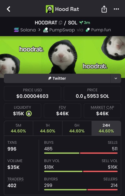 A crypto token tracker page for 'Hood Rat' (HOODRAT) on Solana via PumpSwap/Pump.fun, showing a price of $0.00004603, market cap of $46K, and 996 transactions.