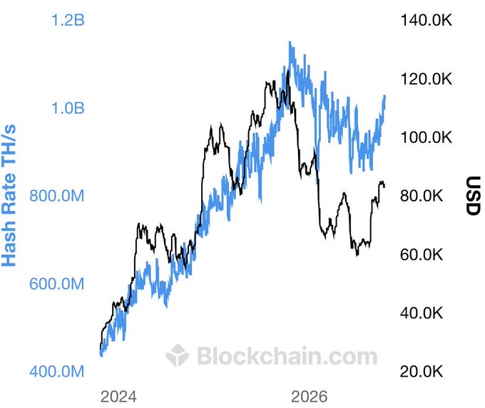 A dual-axis chart from Blockchain.com displaying Bitcoin network metrics, with 'Hash Rate TH/s' on the left axis (in blue) and 'USD' price on the right axis (in black), showing trends from 2024 to 2026.