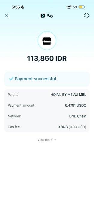A screenshot of a successful cryptocurrency payment confirmation showing 113,850 IDR paid to 'HOIAN BY MEVUI MBL' for 6.4791 USDC on the BNB Chain.