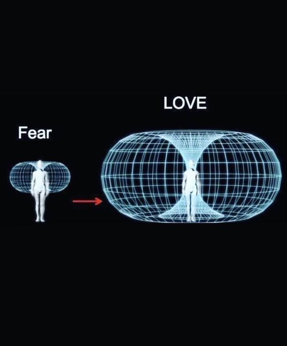 A diagram illustrating how fear creates a small electromagnetic field around a human figure, which transforms into a much larger torus-shaped field of love, visualized with a red arrow showing the progression from fear to love.