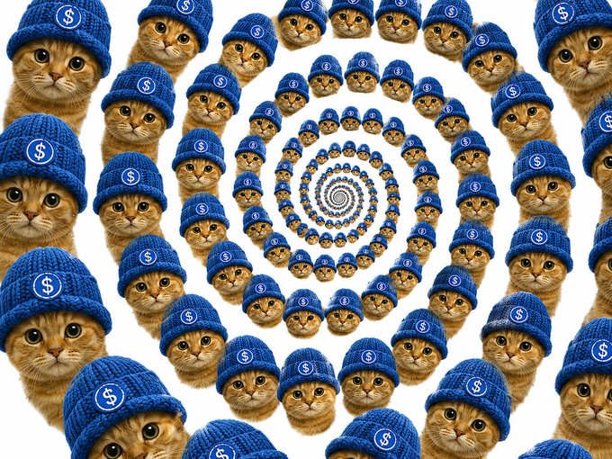 A spiral pattern made of identical orange tabby kittens wearing blue knit beanies with dollar sign ($) symbols, visually playing on the meme's reference to crypto airdrops and tokens ($ANSEM, $catwif). The repeating "$" symbols on the hats tie into the post's solicitation of wallet addresses for receiving memecoin drops.