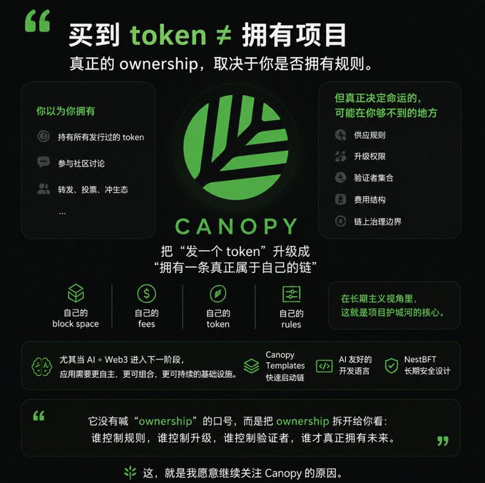 The image shows a vibrant poster for the cryptocurrency CNPY. It features an intricate green and white design with the word "CNPY" prominently displayed at the center, surrounded by icons representing different aspects of CNPY such as buying tokens and ownership. The color scheme and layout emphasize the importance of owning CNPY tokens as part of the project or its benefits for users.
