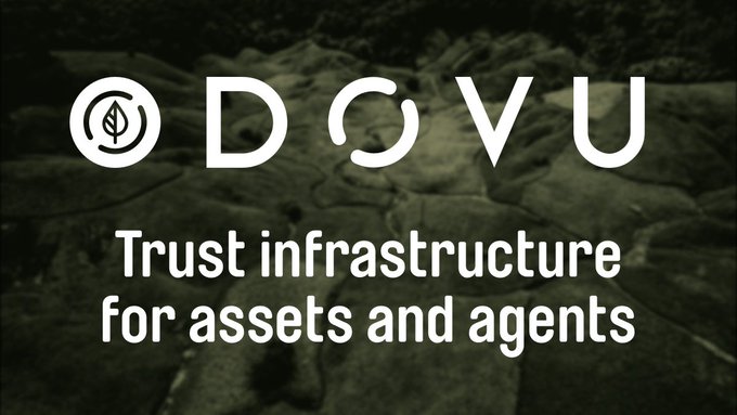 The image features a logo with the words "DOVU" written above it. Below this, there's text that reads "Trust Infrastructure for Assets & Agents", which suggests that the company focuses on providing trust infrastructure services for various assets and agents in different industries. The image also includes an image of a rock wall or mountain range, which is not directly related to the content but adds visual interest to the post.