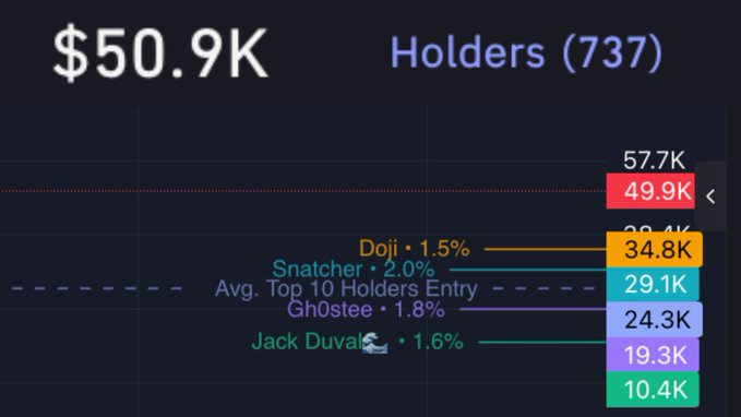 A dark-themed dashboard showing '$50.9K' and 'Holders (737)' at the top, with a chart listing holders such as Doji (1.5%), Snatcher (2.0%), Gh0stee (1.8%), and Jack Duval (1.6%) with corresponding values ranging from 10.4K to 57.7K.