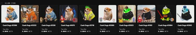 A row of NFT-style digital collectibles featuring dogs in various costumes (monk, Jedi, alien), each labeled 'Cash Dogs' with different token numbers like '#2388', '#3222', and '#2728', all listed with 'Top offer 0.0048 WETH'.