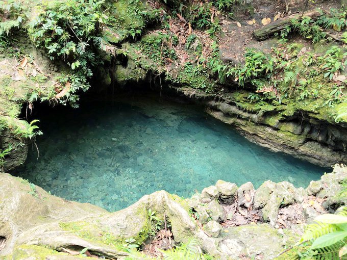 A natural pool of clear, turquoise water surrounded by moss-covered rocky cliffs and lush green vegetation, resembling an underground cave or cenote.