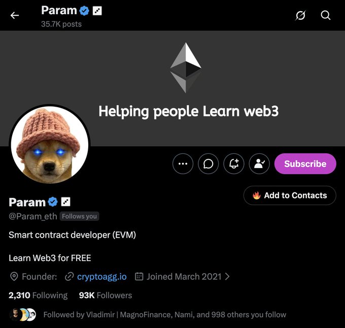 A Twitter profile page for 'Param' (@Param_eth), a smart contract developer (EVM) and founder of cryptoagg.io, featuring a dog with glowing blue eyes wearing a pink knit hat as the avatar.