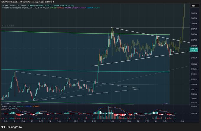 A TradingView chart displaying the price action of VeChain (VET/USDT) on Binance with trend lines and an MACD indicator.