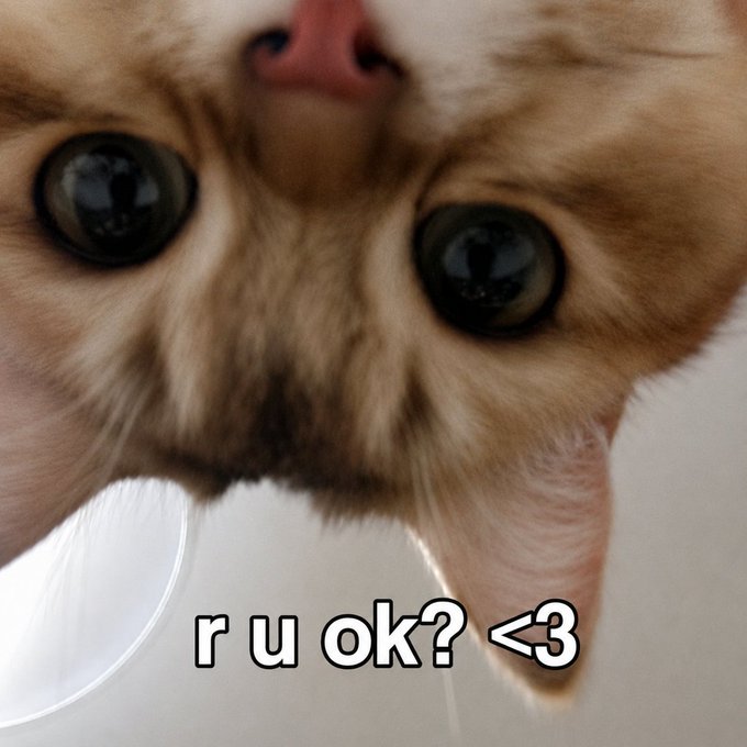 The image features a close-up of an orange cat with green eyes, looking up at the camera. The cat's head is tilted upwards, giving us a view into its face. Below the cat's head, there is text that reads "ru ok?" and has a question mark symbol (?) above it.