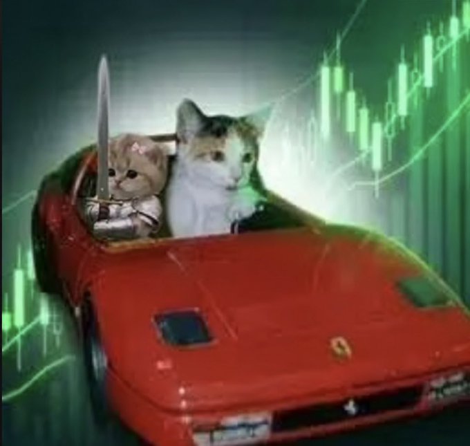 A meme image featuring two cats, one wearing a pink bow and holding a sword, riding in a red sports car with a glowing green cryptocurrency-style candlestick chart rising in the background.