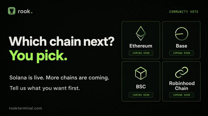 A black-and-green Rook community vote page asks “Which chain next? You pick.” and lists Ethereum, Base, BSC, and Robinhood Chain as “COMING SOON.”