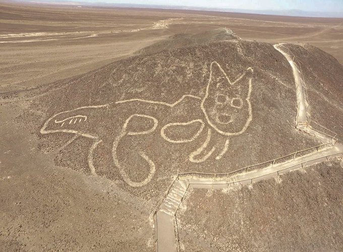 An aerial view of a massive cat geoglyph etched into the arid hillside, evoking a "Tom Cat" silhouette that complements the "$Mafia" theme by playfully riffing on the popular feline-themed token meme.