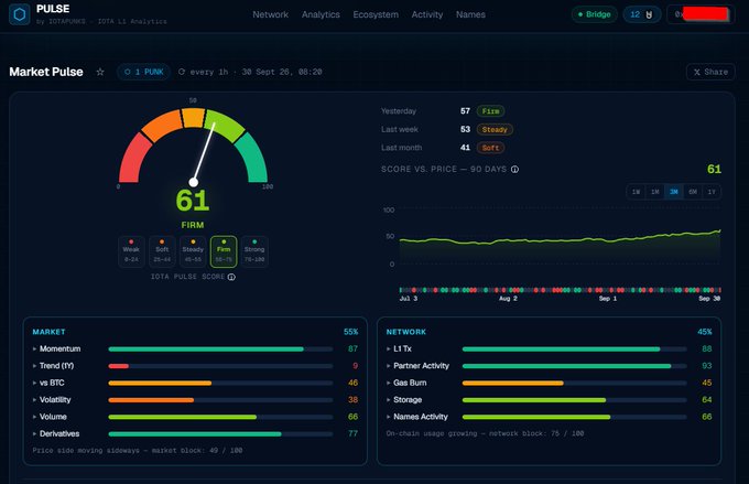 A dashboard screenshot of 'PULSE' by IOTAPAPRIKAS showing a 'MarketPulse' score of 61 for 'PUNK', with sections for Yesterday, Last week, and Last month data.