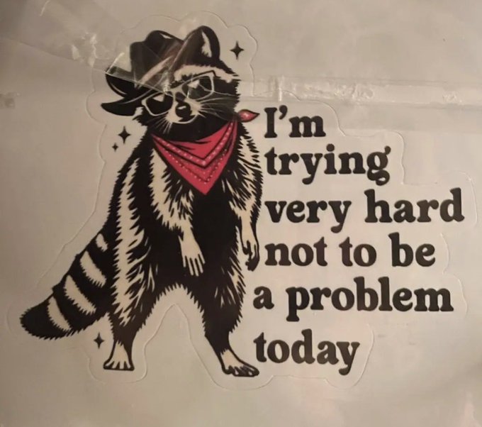 A sticker of a raccoon wearing a black cowboy hat, sunglasses, and a red bandana with the text 'I'm trying very hard not to be a problem today.'