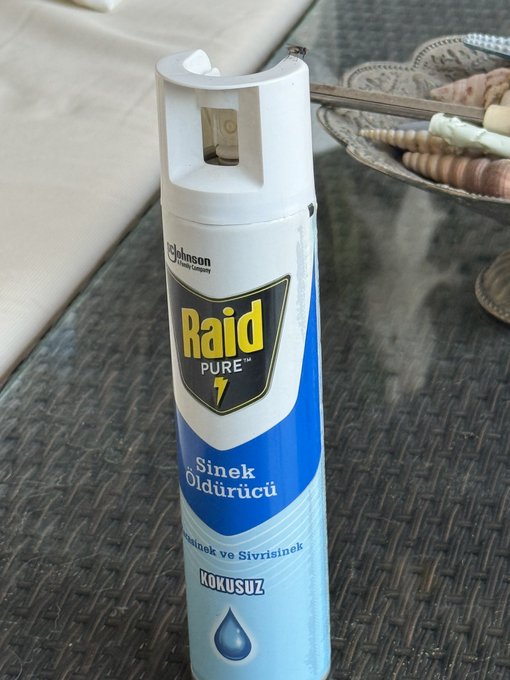 A can of Raid Pure insecticide spray (labeled "Sinek Öldürücü" and "Kokusuz") sits on a wicker table next to a decorative seashell dish, fitting the post's reference to being the source of danger—especially for flies.