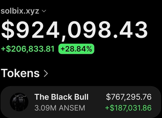 The image shows a crypto portfolio screenshot from solbix.xyz displaying a total balance of $924,098.43 with a +$206,833.81 gain (+28.84%), highlighting "The Black Bull" token (3.09M ANSEM) valued at $767,295.76 with a +$187,031.86 profit, which corresponds to the post's claim of having sold $89,800 while still holding $767,200 in tokens.