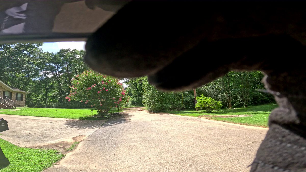 The image shows an aerial view of a street with houses, trees, and a dog walking down the road. The perspective appears to be from inside a car or truck window, as if someone has taken the photo while driving by. The main focus is on the dog walking in front of a house, which seems to be the central subject of the image.