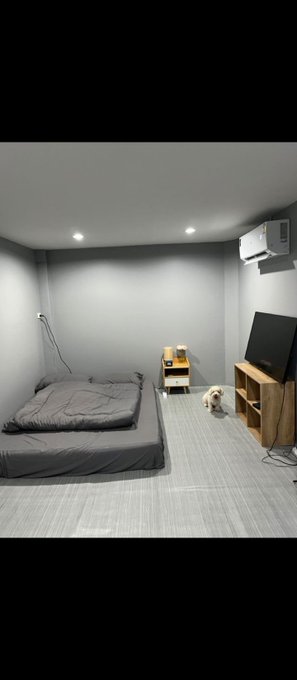 A sparsely furnished bedroom with gray walls, a bed with gray sheets, a small nightstand, a TV stand with a flat-screen TV, and a small dog standing on the floor.