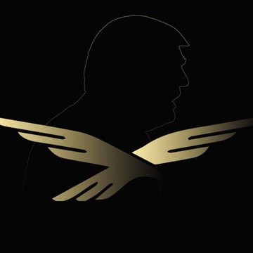 A silhouette of Donald Trump in profile appears in dark gray outline above a stylized pair of gold metallic wings spread horizontally against a black background, evoking imagery associated with the Trump brand and World Liberty Financial's delayed Maldives resort token launch.
