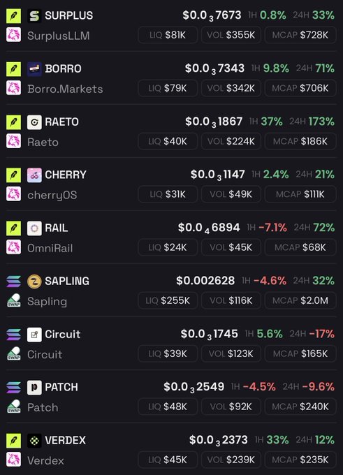 A financial dashboard displaying a list of tokens and their market data, including SURPLUS, BORRO, RAETO, CHERRY, RAIL, SAPLING, Circuit, PATCH, and VERDEX, with prices, 1H and 24H percentage changes, liquidity, volume, and market cap.