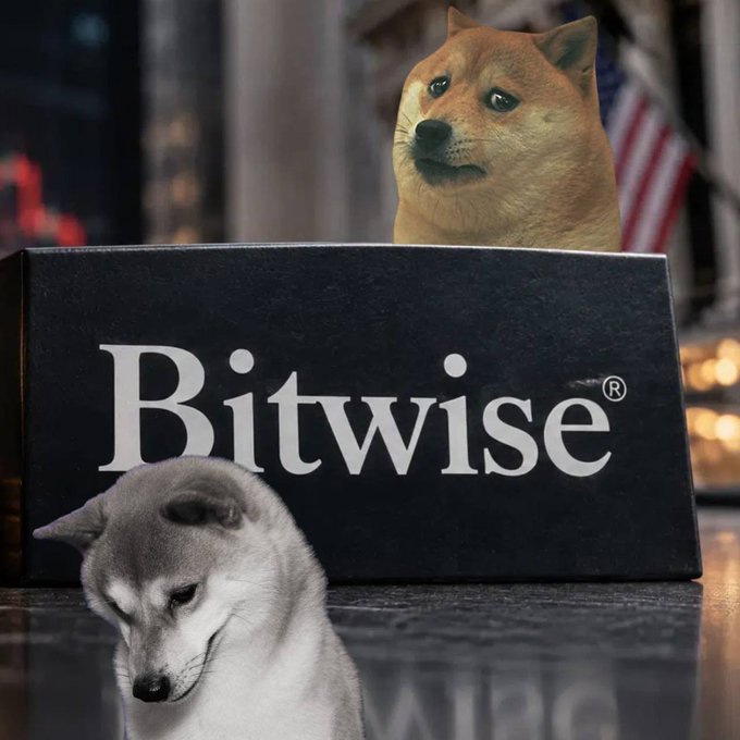 A meme image showing the 'Cheems' and 'Hodl' doge characters sitting behind a black box labeled 'Bitwise®'.