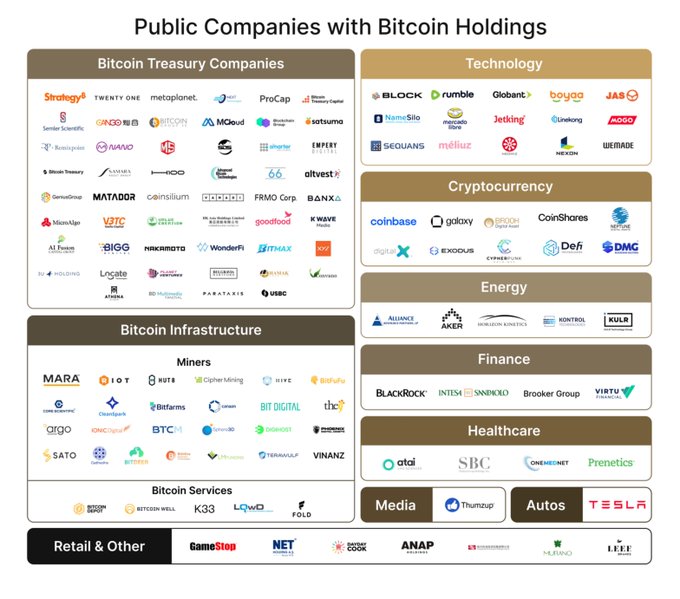 An infographic titled 'Public Companies with Bitcoin Holdings' categorizing companies like Strategy, Block, Coinbase, BlackRock, and GameStop into sections including Bitcoin Treasury Companies, Technology, Cryptocurrency, Energy, Finance, Healthcare, Media, Autos, Miners, and Retail.
