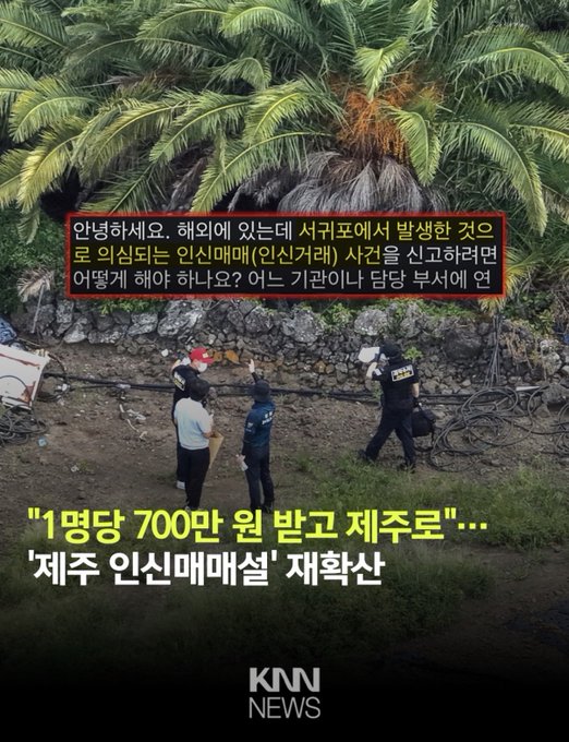 A KNN News screenshot shows an aerial view of investigators examining a rural property with palm trees and a stone wall, overlaid with Korean text reading "1명당 700만 원 받고 제주로" (Paid 7 million won per person to come to Jeju) and "제주 인신매매설 재확산" (Jeju human trafficking allegations resurface), along with a viewer comment expressing concern about the human trafficking case and demanding a thorough investigation into Chinese nationals' involvement, directly contextualizing the crime scene footage as evidence in the alleged trafficking operation.