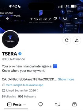 A screenshot of the TSERA Finance Twitter/X profile (@TSERAFinance) with the bio "Your on-chain financial intelligence. Know where your money went," showing 5 Following, 503 Followers, and a CA address beginning 0xF9ebf8b6ae27fE7beC0C331..., accompanied by a caption critiquing projects that hype mints then rug, warning that repeated shilling damages a project's credibility.