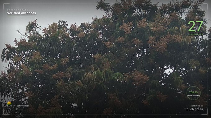 A photograph of a tree with reddish-brown flowers, with overlaid text including 'PROPERTY OF BALE', 'verified outdoors', 'DAY 27', and 'CERTIFIED BY touch grass'.