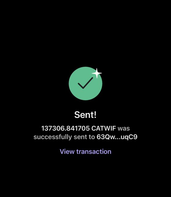 Crypto transaction confirmation screen showing 'Sent! 137306.841705 CATWIF was successfully sent to 63Qw...uqC9' with a green checkmark.