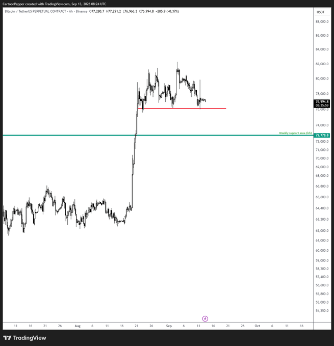 A TradingView chart of Bitcoin (BTC/USDT) on Binance's perpetual contract shows a sharp rally from ~$58K to a peak near $82K in August-September 2024, now pulling back toward a weekly support area (green line) at $72,778 and a key horizontal resistance-turned-support at $76,994—levels that align with the post's warning of a potential flush lower to create attractive Q4 dip-buying opportunities.