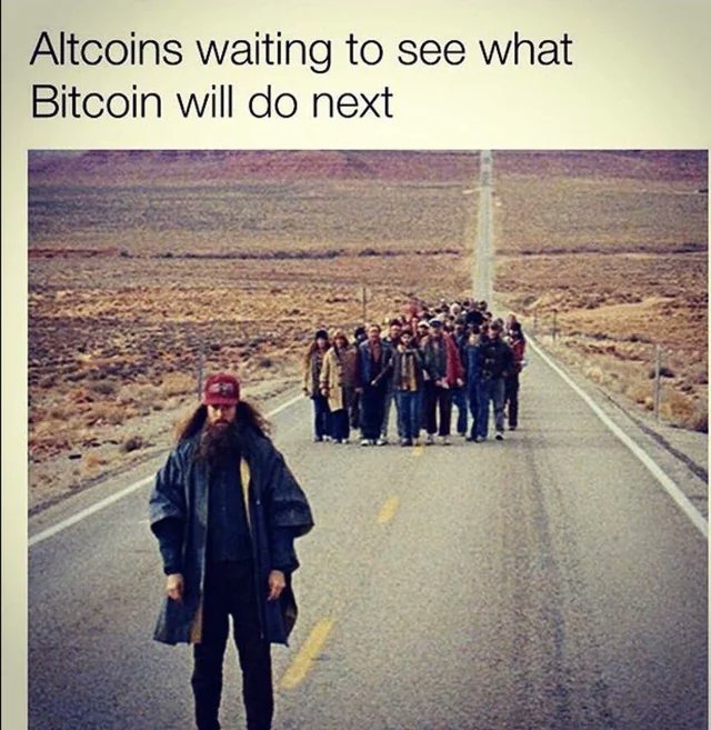 The image shows a man standing at the edge of an empty road, with a group of people walking down the street behind him. The caption reads "Altcoins waiting to see what Bitcoin will do next," which suggests that the man might be discussing or contemplating the future of cryptocurrency and its impact on the world.