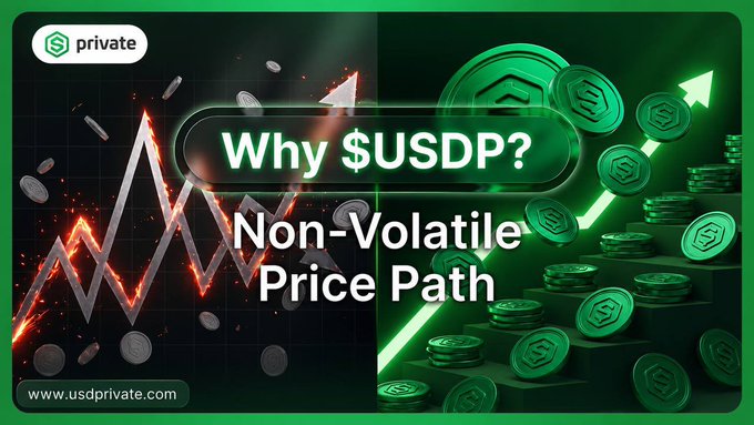 The image shows a banner advertisement with two different images featuring $USDPrivate, a digital asset designed for investment purposes. The image on the left displays a bar graph with a price path rising from $1 to $1,000,000 over four years. On the right side of the image, there is another bar graph showing $USDPrivate priced at $0.01. Below these images are two words that explain the concept: "Why USDP?" and "Non-Volatile Price Path". The caption below reads, "Focus on what is in the image and how it relates to the post."
