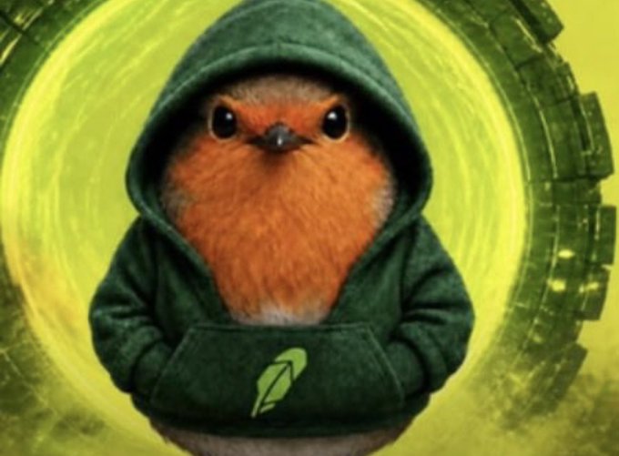 A small orange bird wearing a green Robinhood hoodie is featured prominently against a green circular background with what appears to be a Robinhood leaf logo on the hoodie. The image relates to the $robert meme token referenced in the post, presenting the character as a "play" (investment opportunity) alongside the contract address.