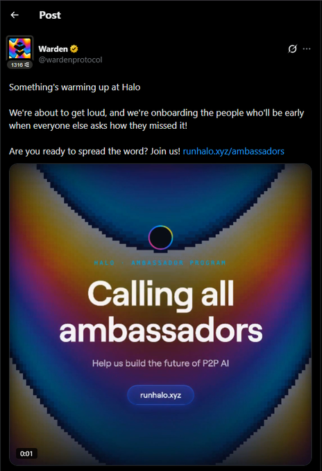 A social media post by Warden (@wardenprotocol) announcing 'Something's warming up at Halo' and calling for ambassadors to join their P2P AI program, featuring a graphic that says 'Calling all ambassadors' with a link to runhalo.xyz/ambassadors.
