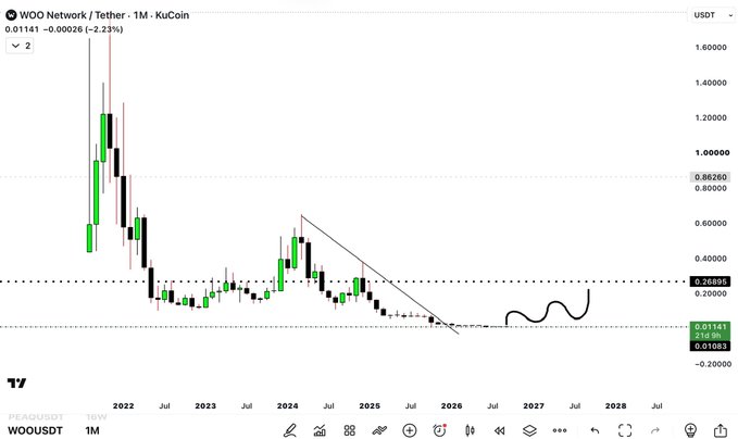 A KuCoin WOO/USDT 1-month chart shows the token trading at $0.01141 (-2.23%), down sharply from highs above $1.40, currently sitting near a macro bottom region with a projected 30X target highlighted around $0.26 — visually supporting the post's claim that the bottom is in with significant upside potential despite Woo being outside a trending sector.