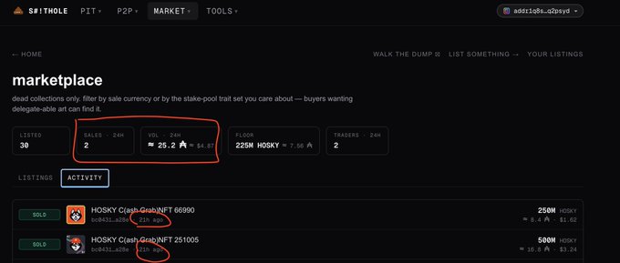 A screenshot of the Spothole marketplace shows a listing for HOSKY with '21h ago' highlighted in red, displaying 2 sales in 24 hours and a volume of 25.2, with floor price at 225M HOSKY.