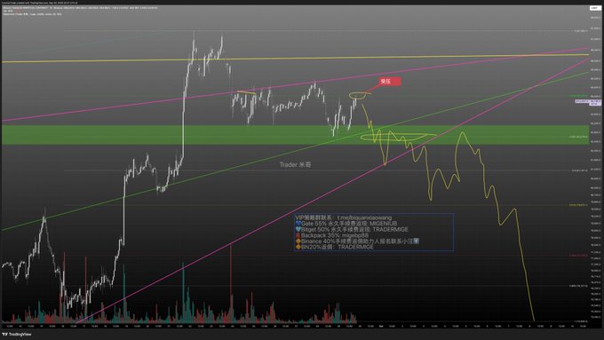 A TradingView candlestick chart with Chinese annotations including "关注" (watch) and "Trader永哥" watermark, showing technical analysis with trend lines and a green highlighted zone.