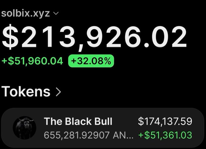 The image shows a portfolio tracker from solbix.xyz displaying a total balance of $213,926.02, up $51,960.04 (+32.08%), with "The Black Bull" token holding valued at $174,137.59 (655,281.92907 AN...), up $51,361.03. This visualizes the impressive gains mentioned in the post, showing how a $62,000 investment in the Ansem memecoin has grown into over $141,000 in profit, with $174,137.59 still held in tokens after taking out $28,500.