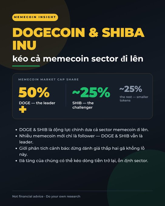 A "Memecoin Insight" infographic showing Dogecoin (DOGE) commanding 50% of memecoin market cap as the leader, while Shiba Inu (SHIB) holds ~25% as the challenger, with smaller tokens sharing the remaining ~25%, illustrating how these two tokens dominate and drive the entire memecoin sector.