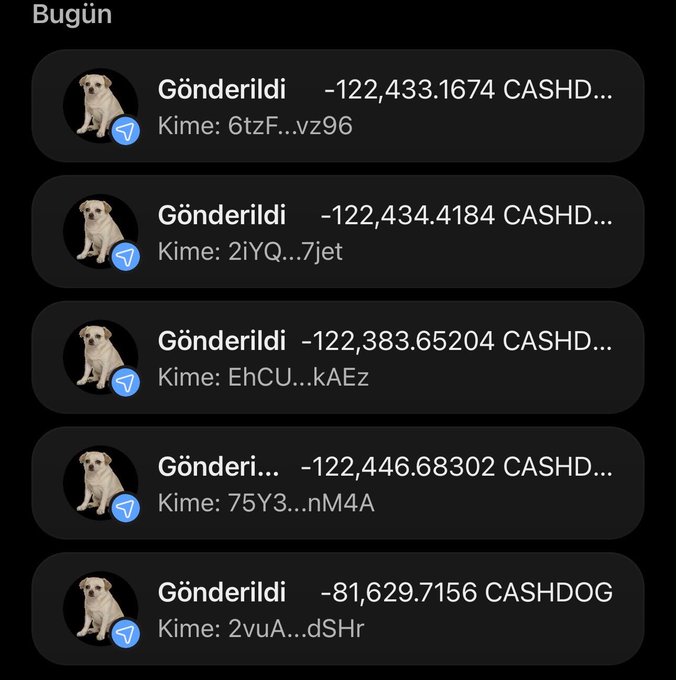 The image displays a cryptocurrency transaction history showing multiple outgoing CASHD and CASHDOG token transfers (amounts ranging from ~81,629 to 122,446 tokens) sent to various abbreviated wallet addresses under "Bugün" (Today). This relates to the accompanying post by showcasing apparent transaction activity for the $CASHDOG airdrop, lending visual credibility to the claim that token distributions are actively occurring to participants' wallets.