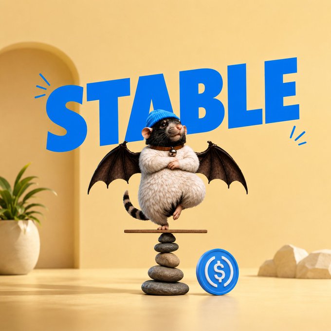 The image shows an adorable chubby bat wearing a blue beanie and bell collar, perched delicately on a balanced stack of stones beside a USDC (stablecoin) coin, with the bold blue word "STABLE" displayed behind it.

The visual cleverly personifies the post's complaint—portraying a creature being artificially "fattened" and given wings as a metaphor for how USDC/stablecoins force users into a constrained "stable" position, with the bat struggling to balance on stacked stones like the precarious nature of stablecoin stability.