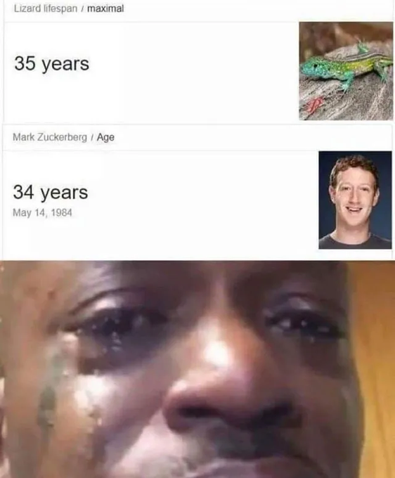 A meme showing 'Lizard lifespan / maximal: 35 years' next to 'Mark Zuckerberg / Age: 34 years (May 14, 1984)' above a crying Black woman's face.