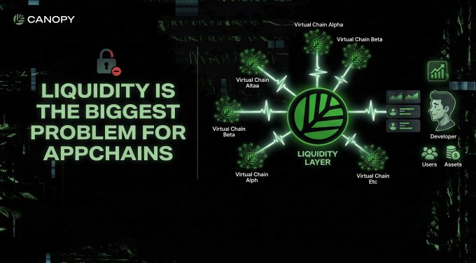 The image features a poster with a green background, which has a white circle containing a green leaf inside of it. The text "liquidity is the biggest problem for appchains having your own chain is great but without users and liquidity it means nothing @CNPYNetwork solves this problem virtual chains connect directly to the liquidity layer so developers don'T need to manage liquidity anymore". This poster highlights the importance of user engagement in appchain development, as well as the role that liquidity plays in ensuring the success of these projects.