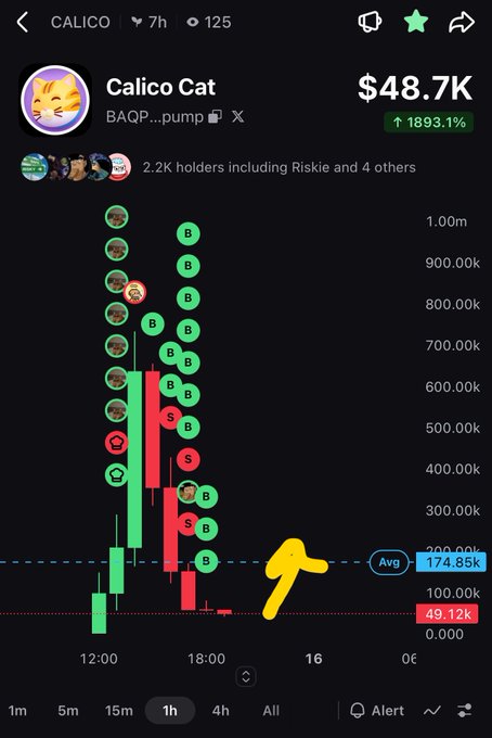 A screenshot of a crypto trading chart for the token "Calico Cat" (ticker CALICO, contract BAQP...pump) showing a market cap of $48.7K with a 1,893.1% gain, accompanied by holders and buy/sell markers on a 1-hour candlestick chart. The chart visually confirms the post's reference to the $CALICO token by displaying its dramatic upward price action on what appears to be a Solana-based memecoin tracking platform.