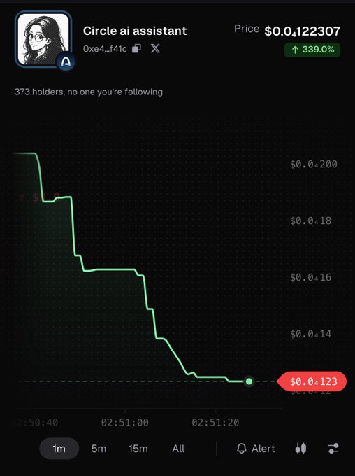 A crypto token chart for 'Circle ai assistant' (contract 0xe4…f41c) showing a steep drop from $0.0₅200 to $0.0₁22307, with a green label indicating a 339.0% change and 373 holders on what appears to be a Solana-style token explorer.