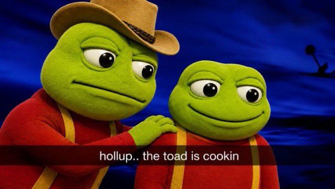 A meme featuring two anthropomorphic frogs, one wearing a cowboy hat, with the caption 'hollupp.. the toad is cookin'.