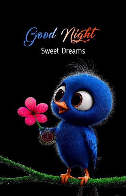 A cartoon blue bird holds a pink flower against a black background with the text 'Good Night Sweet Dreams' and a watermark 'T'.