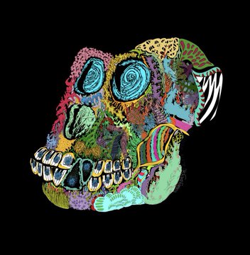 A vibrant, psychedelic illustration of a skull-like creature or dinosaur head rendered in bright colors with swirling patterns and prominent teeth against a black background.